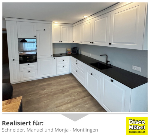 Küchenumbau Rheintal Referenz 1013